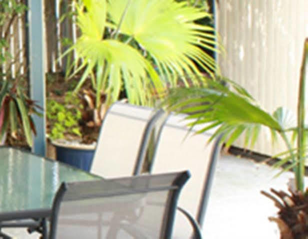 Benson Court Motel Brisbane Kültér fotó